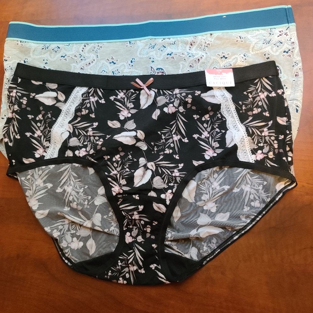 2 Pair Cacique Brief Panties Sz 14/16 NWTs!!